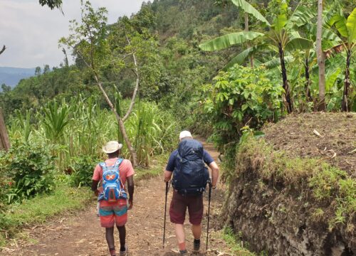 MOUNT BISOKE HIKING IN VOLCANOES NATIONAL PARK, RWANDA