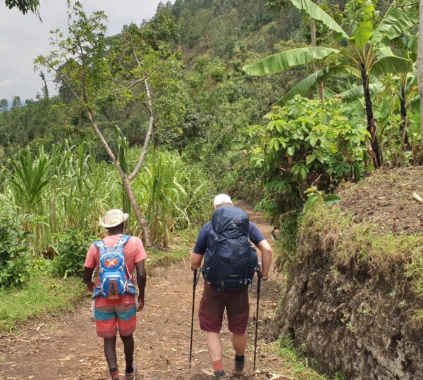 MOUNT BISOKE HIKING IN VOLCANOES NATIONAL PARK, RWANDA