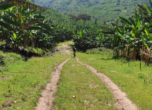 3 DAYS CYCLING FROM KIGALI TO MUSANZE VIA THE TWIN LAKES OF RWANDA